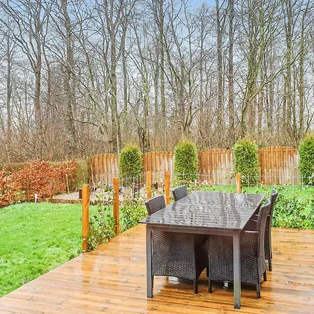 Pet Friendly In With Kitchen *